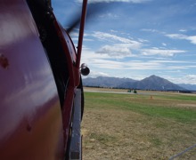 Tiger Moth - New Zealand Tiger Moth - New Zealand