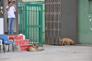 Boccadifalco airport, Sicily