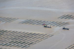 Current use of the area of disembarkation beaches