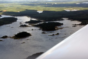 The specific shapes of quickly rising islets of  Kvarken archipelageo