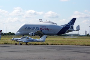 Competition between Dynamic and Beluga