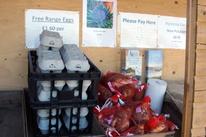 Shop based on customer´s honesty - St Mary, Isles of Scilly