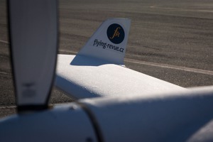 Quite a thick white frost had to be removed from the wings